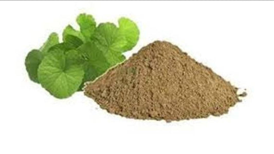 Brahmi powder- Bacopa monnieri