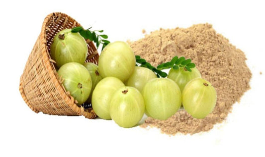 Amla Powder Organic - Emblica officinalis fruit