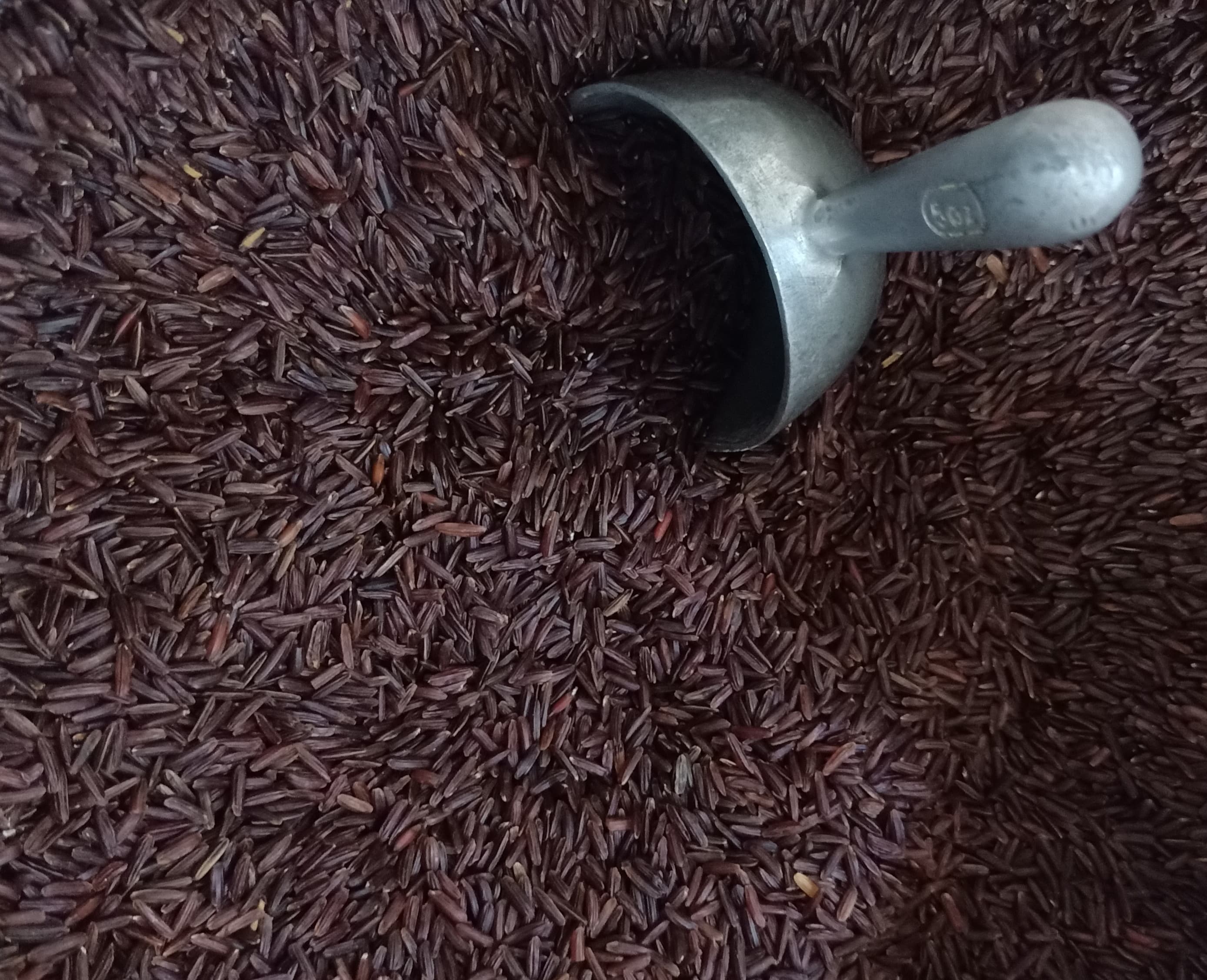 Red Rice – Theodora's Exotic Pantry